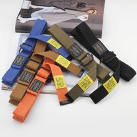 Simple Style Letter Alloy Woven Fabric Woven Belt Unisex Woven Belts 1 Piece main image 4