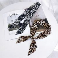 Women's Sweet Leopard Polyester Printing Silk Scarves main image 5