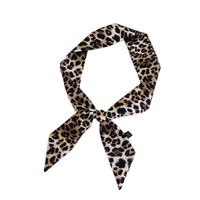 Women's Sweet Leopard Polyester Printing Silk Scarves main image 3