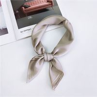Women's Elegant Solid Color Polyester Silk Scarves sku image 9