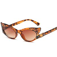 Fashion Solid Color Ac Cat Eye Diamond Full Frame Women's Sunglasses main image 3