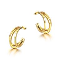 1 Paire Style Simple Forme C Placage Acier Au Titane Boucles D'oreilles main image 5