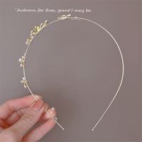 Sweet Flower Alloy Plating Inlay Artificial Pearls Rhinestones Hair Band 1 Piece main image 5