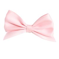 Sweet Bow Knot Polyester Hair Clip 2 Pieces main image 4
