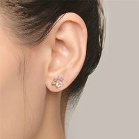 Fashion Paw Print Copper Inlay Zircon Ear Studs 1 Pair main image 2