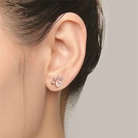 Mode Empreinte De Patte Le Cuivre Incruster Zircon Boucles D'oreilles 1 Paire main image 2