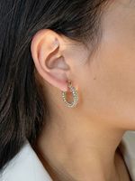 1 Pair Simple Style Circle Plating Inlay Stainless Steel Rhinestones 18k Gold Plated Earrings main image 3