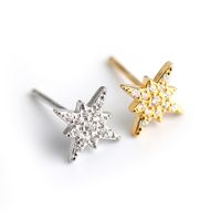Fashion Star Sterling Silver Inlay Zircon Ear Studs 1 Pair main image 4