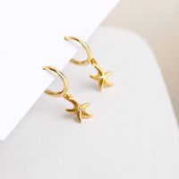 Fashion Starfish Sterling Silver Plating Drop Earrings 1 Pair main image 4