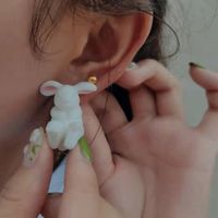 1 Pair Cute Rabbit Resin Women's Ear Studs main image 1