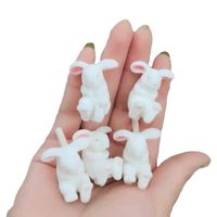 1 Pair Cute Rabbit Resin Women's Ear Studs main image 4