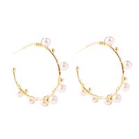 1 Pair Fashion Flower Imitation Pearl Women's Drop Earrings sku image 1