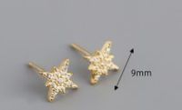 Fashion Star Sterling Silver Inlay Zircon Ear Studs 1 Pair main image 2