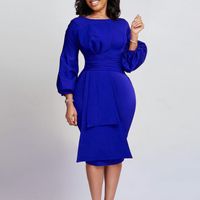 Women's Sheath Dress Fashion Round Neck Pleated Long Sleeve Solid Color Maxi Long Dress Daily main image 2