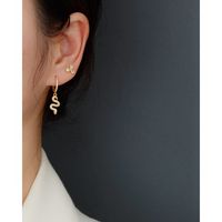 Fashion Shamrock Sterling Silver Inlay Zircon Ear Studs 1 Pair main image 4