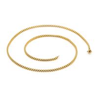 Simple Style Solid Color Titanium Steel Plating Chain Necklace 1 Piece sku image 7