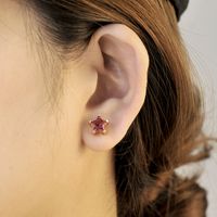 Fashion Star Copper Silver Needle Inlay Zircon Ear Studs 1 Pair main image 5