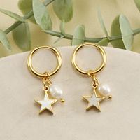 Fashion Star Stainless Steel Plating Shell Dangling Earrings 1 Pair main image 3
