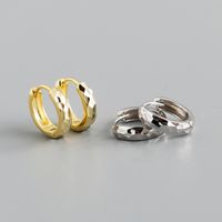 Fashion Solid Color Sterling Silver Earrings 1 Pair main image 5