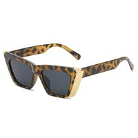 Hip-hop Geometric Pc Cat Eye Full Frame Women's Sunglasses sku image 1