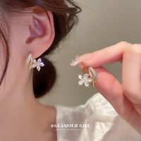 1 Pair Fashion Bow Knot Metal Inlay Zircon Women's Ear Studs main image 4