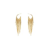 1 Pair Fashion Tassel Metal Women's Drop Earrings main image 5