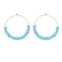 1 Pair Simple Style Round Mixed Materials Beaded Women's Earrings main image 5