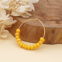 1 Pair Simple Style Round Mixed Materials Beaded Women's Earrings main image 2