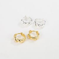 Fashion Geometric Sterling Silver Hoop Earrings 1 Pair main image 4