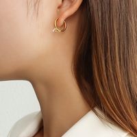 Fashion Geometric Titanium Steel Inlay Zircon Earrings 1 Pair main image 3