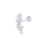 Style Simple Feuille Star Argent Sterling Placage Incruster Zircon Boucles D'oreilles 1 Pièce sku image 22