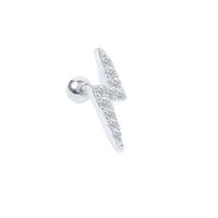 Simple Style Leaf Star Sterling Silver Plating Inlay Zircon Ear Studs 1 Piece sku image 24