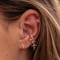 Simple Style Leaf Star Sterling Silver Plating Inlay Zircon Ear Studs 1 Piece main image 3