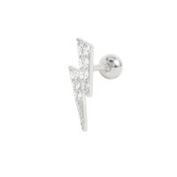 Simple Style Leaf Star Sterling Silver Plating Inlay Zircon Ear Studs 1 Piece sku image 29