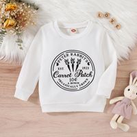 Easter Fashion Rabbit Letter Cotton Polyester Hoodies & Sweaters main image 3