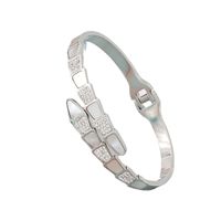 Fashion Star Snake Butterfly Titanium Steel Plating Inlay Zircon Bangle 1 Piece main image 2