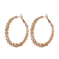 1 Pair Fashion Circle Artificial Crystal Women's Hoop Earrings sku image 2