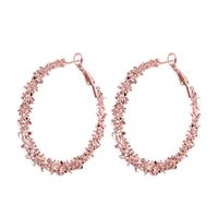 1 Pair Fashion Circle Artificial Crystal Women's Hoop Earrings sku image 1