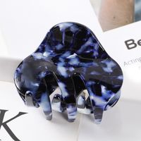 Simple Style Color Block Acetic Acid Sheets Carving Hair Claws 1 Piece sku image 27