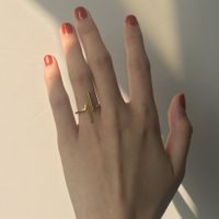 Simple Style Geometric Stainless Steel Plating Rings 1 Piece sku image 1