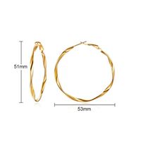 Simple Style Circle Stainless Steel Plating Hoop Earrings 1 Pair sku image 2