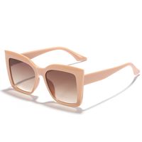 Fashion Ac Cat Eye Full Frame Women's Sunglasses sku image 5