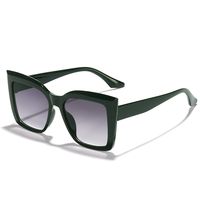 Fashion Ac Cat Eye Full Frame Women's Sunglasses sku image 3