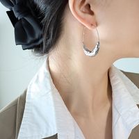 Women's Simple Style Geometric Titanium Steel Earrings Plating No Inlaid Stainless Steel Earrings sku image 2