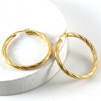 Fashion Round Titanium Steel Plating Hoop Earrings 1 Pair sku image 4