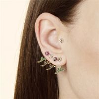 Fashion Flower Sterling Silver Inlay Zircon Ear Studs 1 Pair main image 3