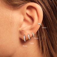 1 Paire Mode Géométrique Placage Argent Sterling Zircon Des Boucles D'oreilles main image 1