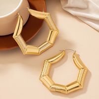 Wholesale Jewelry Exaggerated Solid Color Ferroalloy 14k Gold Plated Plating Earrings main image 6