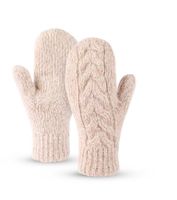 Women's Casual Twist Gloves 1 Pair main image 2