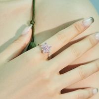 Korean Style Flower Sterling Silver Plating Inlay Zircon Open Rings main image 2